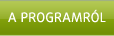A program